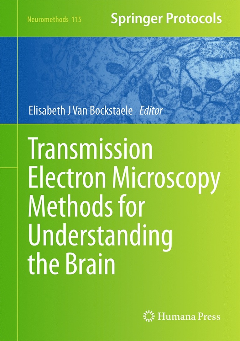 Elisabeth J. Van Bockstaele, Elisabeth J. van Bockstaele - Transmission Electron Microscopy Methods for Understanding the Brain, Inbunden