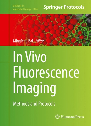 bokomslag In Vivo Fluorescence Imaging