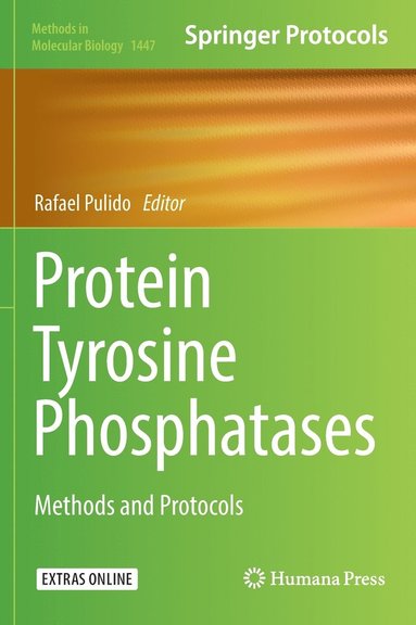 bokomslag Protein Tyrosine Phosphatases