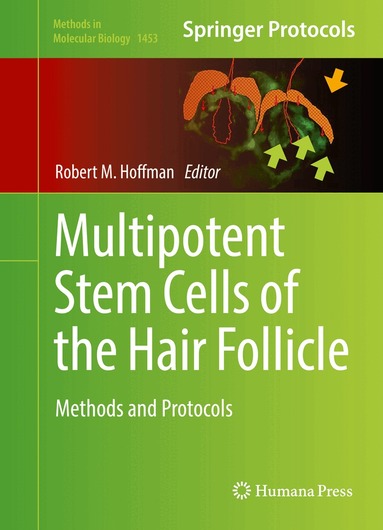 Robert M Hoffman - Multipotent Stem Cells of the Hair Follicle, Inbunden
