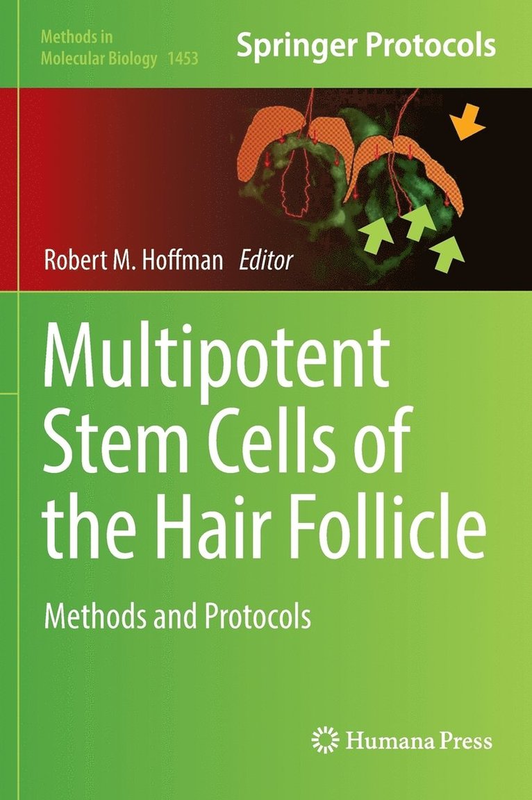 Multipotent Stem Cells of the Hair Follicle 1