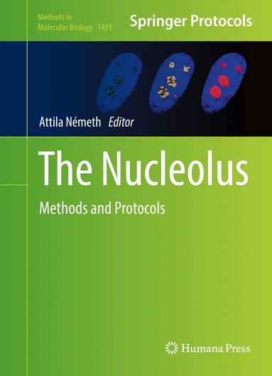 Attila Németh - Nucleolus, Inbunden