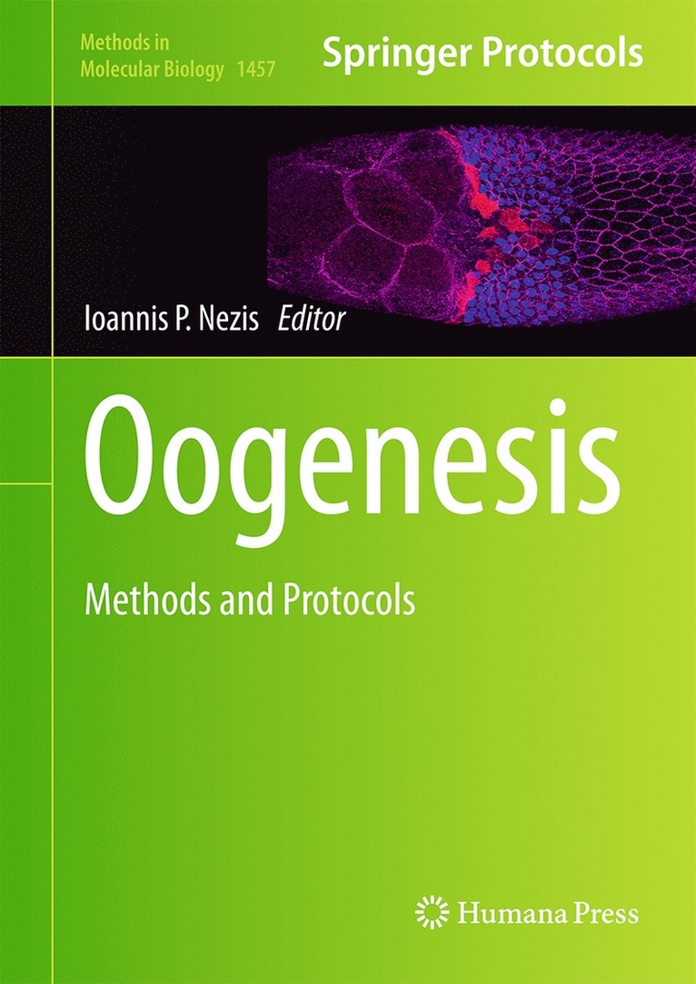 Oogenesis