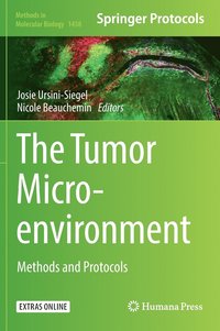 bokomslag The Tumor Microenvironment