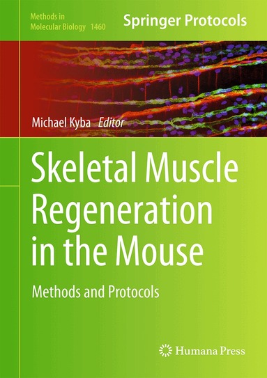 Michael Kyba - Skeletal Muscle Regeneration in the Mouse, Inbunden