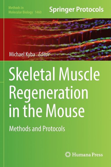 bokomslag Skeletal Muscle Regeneration in the Mouse