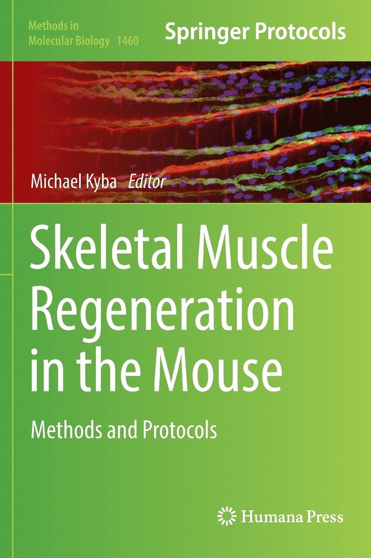 Skeletal Muscle Regeneration in the Mouse