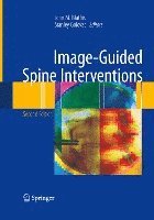 bokomslag Image-Guided Spine Interventions