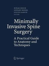 bokomslag Minimally Invasive Spine Surgery