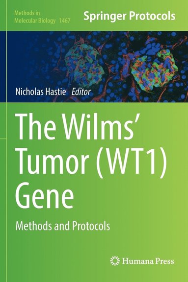 bokomslag Wilms' Tumor (WT1) Gene