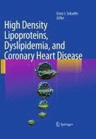 bokomslag High Density Lipoproteins, Dyslipidemia, and Coronary Heart Disease