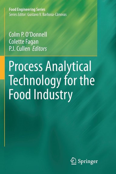 bokomslag Process Analytical Technology for the Food Industry