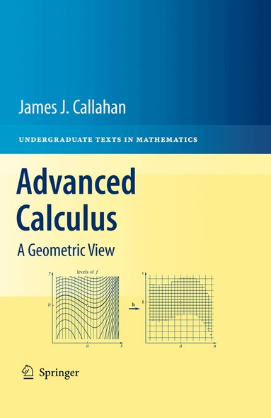 James J. Callahan - Advanced Calculus, Häftad