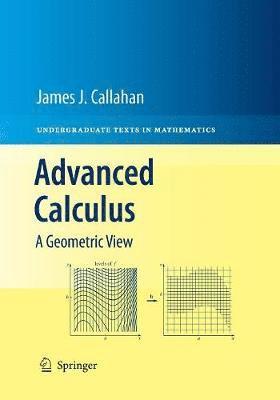 bokomslag Advanced Calculus