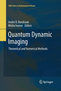 bokomslag Quantum Dynamic Imaging