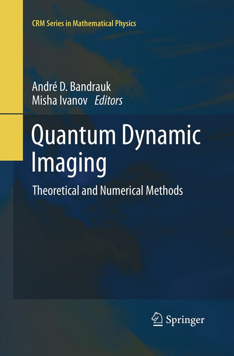 Andre D Bandrauk, Misha Ivanov, Andre D. Bandrauk - Quantum Dynamic Imaging, Häftad