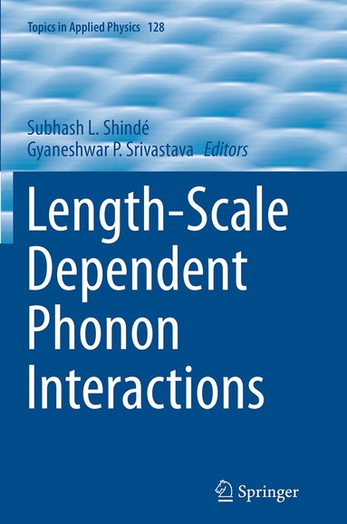 Subhash L. Shindé, Gyaneshwar P. Srivastava - Length-Scale Dependent Phonon Interactions, Häftad