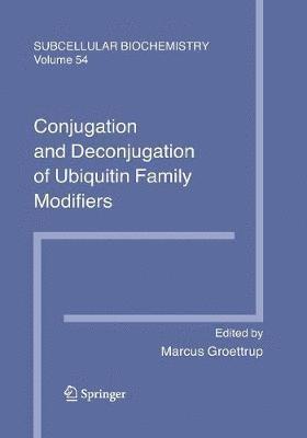 bokomslag Conjugation and Deconjugation of Ubiquitin Family Modifiers