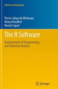 bokomslag The R Software