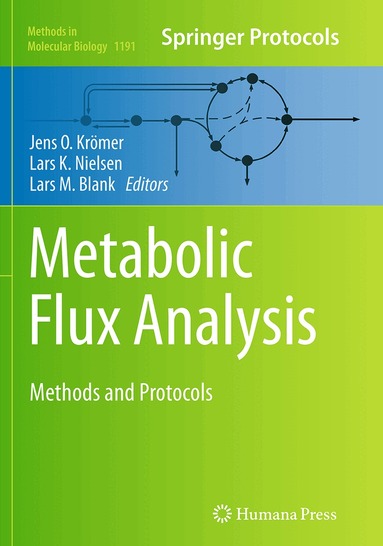 Jens O. Krömer, Lars K. Nielsen, Lars M. Blank - Metabolic Flux Analysis, Häftad