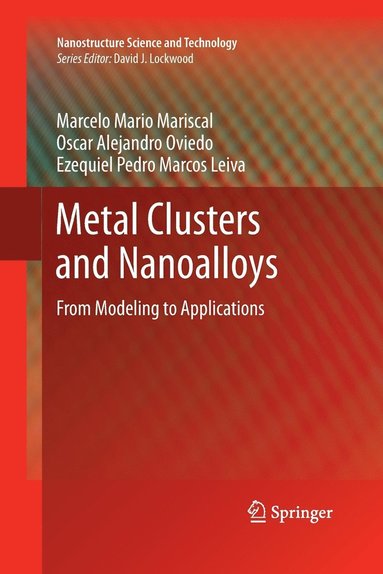 bokomslag Metal Clusters and Nanoalloys