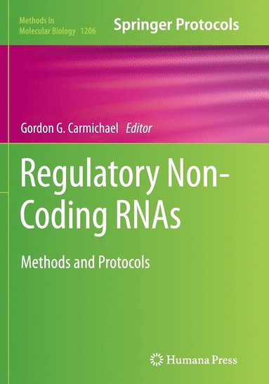 bokomslag Regulatory Non-Coding RNAs