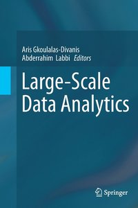 bokomslag Large-Scale Data Analytics