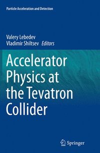 bokomslag Accelerator Physics at the Tevatron Collider