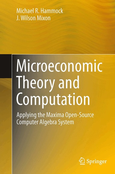 Michael R. Hammock, J. Wilson Mixon - Microeconomic Theory and Computation, Häftad