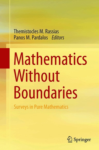 Themistocles M. Rassias, Panos M. Pardalos - Mathematics Without Boundaries, Häftad