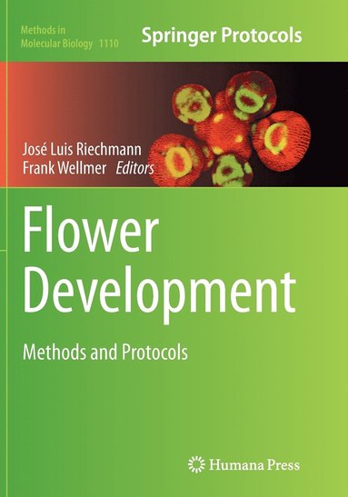 bokomslag Flower Development