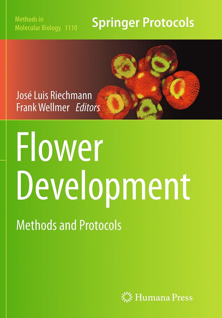 José Luis Riechmann, Frank Wellmer - Flower Development, Häftad