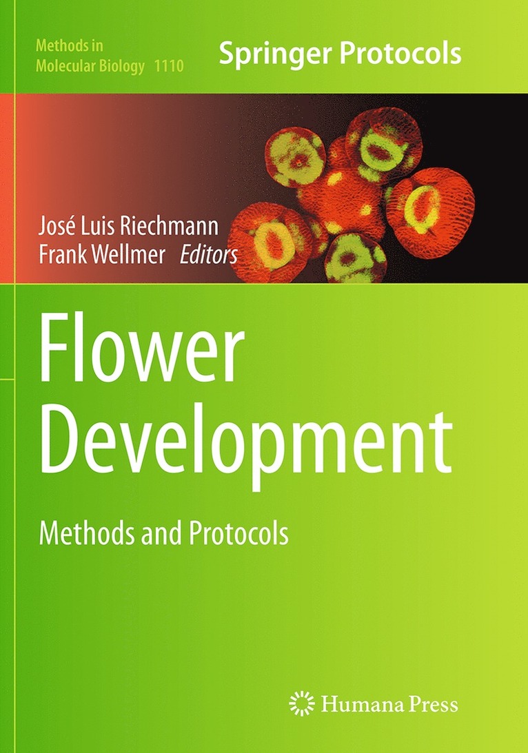 Flower Development 1