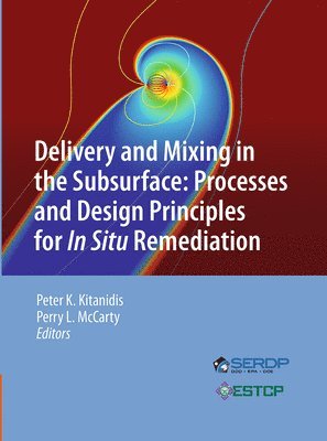 bokomslag Delivery and Mixing in the Subsurface