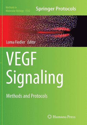 bokomslag VEGF Signaling