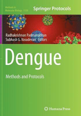 bokomslag Dengue