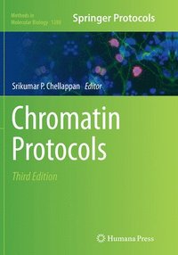 bokomslag Chromatin Protocols