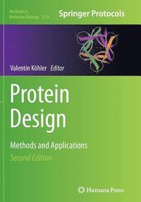 bokomslag Protein Design