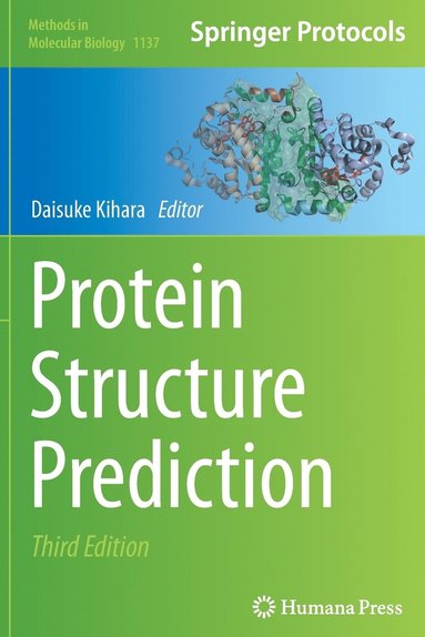 bokomslag Protein Structure Prediction