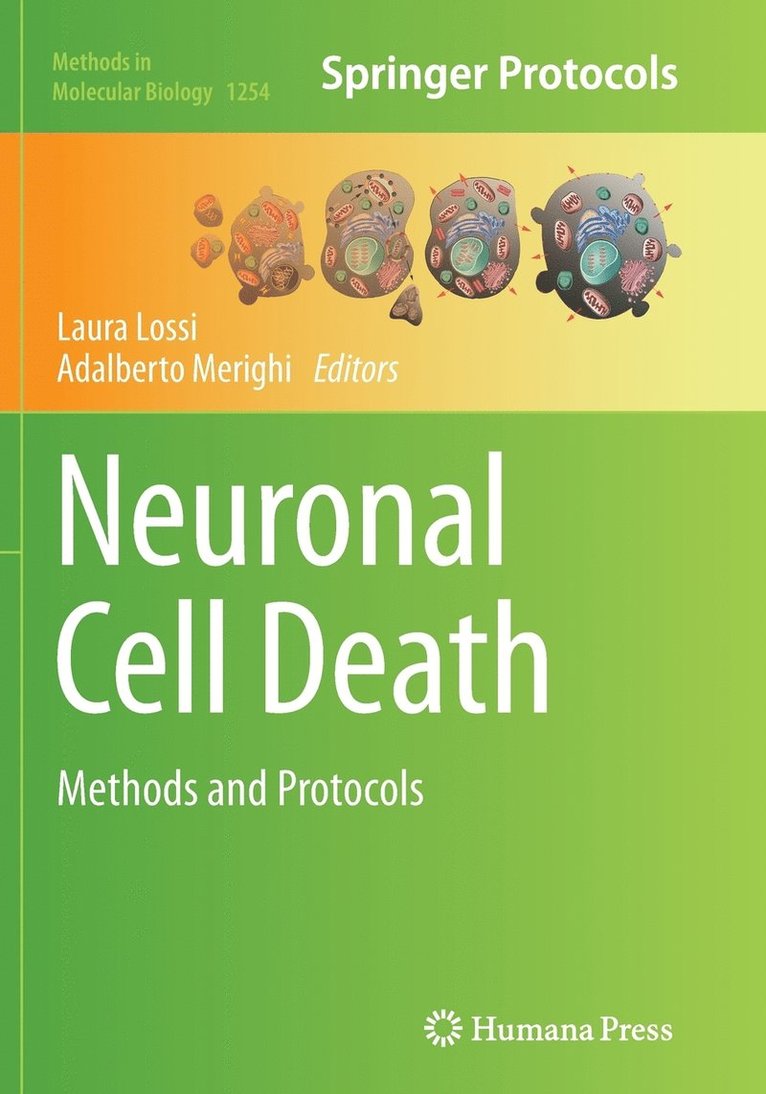 Laura Lossi, Adalberto Merighi - Neuronal Cell Death, Häftad