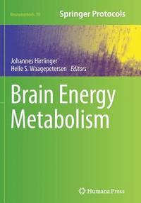 bokomslag Brain Energy Metabolism