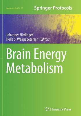 Brain Energy Metabolism 1