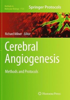 bokomslag Cerebral Angiogenesis