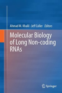 bokomslag Molecular Biology of Long Non-coding RNAs