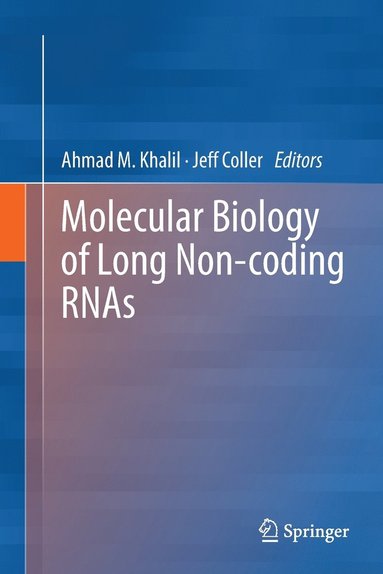 bokomslag Molecular Biology of Long Non-coding RNAs