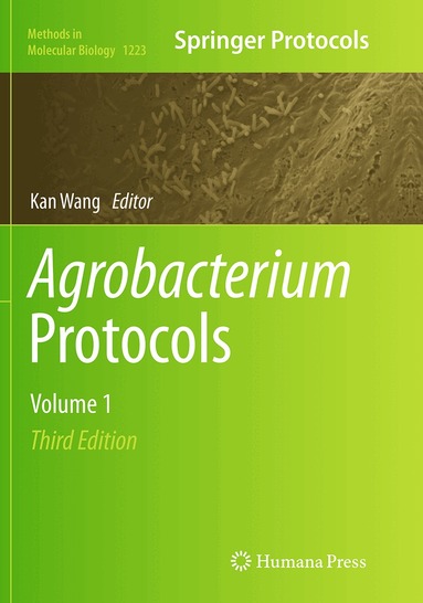 Kan Wang - Agrobacterium Protocols, Häftad
