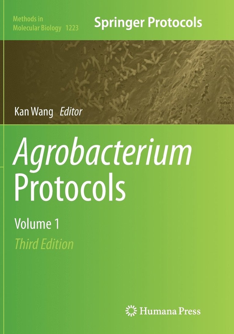 Kan Wang - Agrobacterium Protocols, Häftad