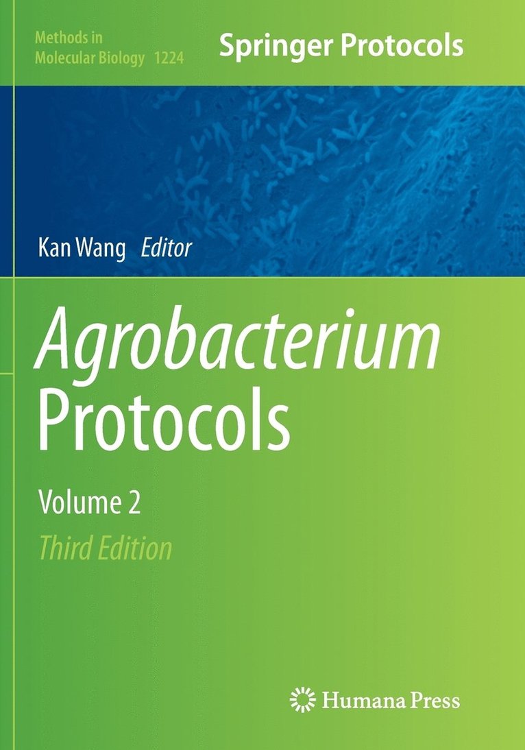 Agrobacterium Protocols 1