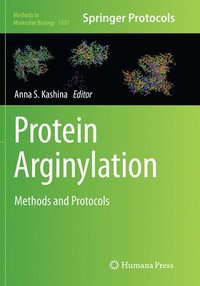 bokomslag Protein Arginylation