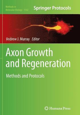 bokomslag Axon Growth and Regeneration